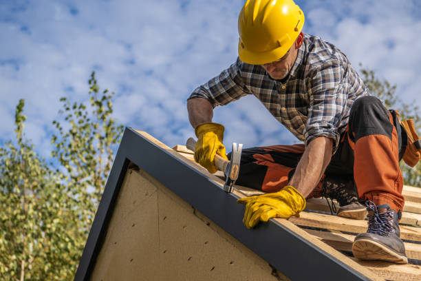 Best Roof Moss and Algae Removal  in Burnettown, SC